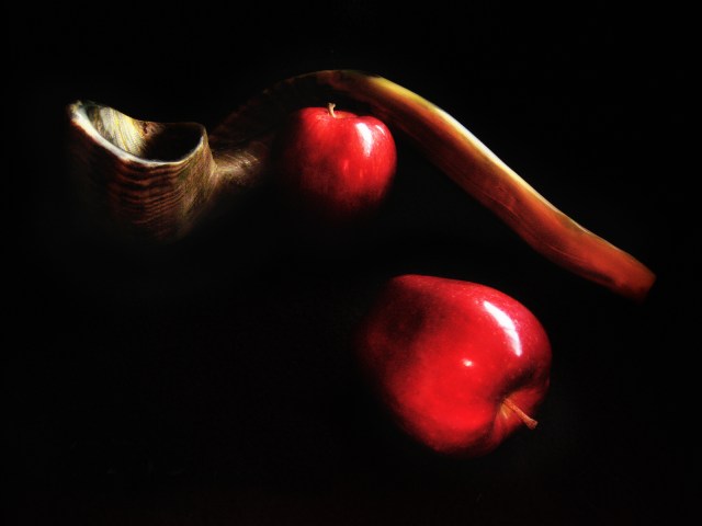 Vogel.AYearofHealth2